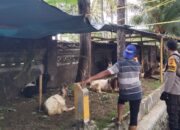 Pemanfaatan Pekarangan untuk Pangan: Langkah Nyata Polsek Batulayar di NTB