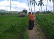 Polisi dan Petani Bersinergi Jaga Ketahanan Pangan Lokal di Kuripan Timur