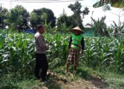 Pekarangan Produktif: Langkah Nyata Wujudkan Swasembada Pangan di Bagik Polak Barat