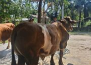 Ketua Bhayangkari Daerah Bengkulu Salurkan Bantuan Kemanusiaan bagi Korban Gempa