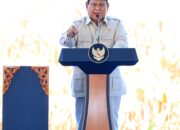 Presiden Apresiasi Peran Polri dan Koperasi dalam Panen Raya Jagung di Bengkayang
