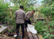 Motivasi Warga Binaan Manfaatkan Lahan Kosong dan Dukung Ketahanan Pangan Nasional Polsek Bolo Cek Pekarangan Bergizi