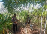 Semarak HUT Bhayangkara Ke-79, Polsek Soromandi Ikuti Lomba Pekarangan Pangan Bergizi