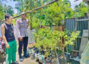 Bhabinkamtibmas Bajur Edukasi Warga Manfaatkan Pekarangan