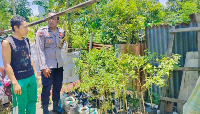 Bhabinkamtibmas Bajur Edukasi Warga Manfaatkan Pekarangan