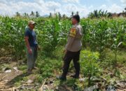 Sinergi Polri dan Warga Wujudkan Ketahanan Pangan di Lombok Barat