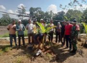 Sambut HUT Bhayangkara Ke-79, Polsek Bolo Bersama PSDHA Laksanakan Penanaman Pohon kelapa