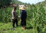 Polri dan Petani Sekotong Bersinergi untuk Kemandirian Pangan Lokal