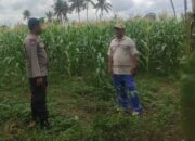 Polri Hadir di Tengah Petani: Ketahanan Pangan Dimulai dari Dusun Pengodongan Indah
