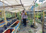 Ketahanan Pangan di Lombok Barat: Polsek Labuapi Fasilitasi Pemanfaatan Lahan Kosong