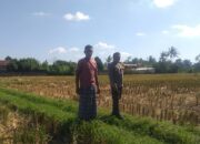 Desa Jagaraga Jadi Percontohan Ketahanan Pangan Berbasis Keluarga