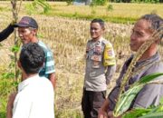 Dukung Ketahanan Pangan, Bhabinkamtibmas Rumak Edukasi Pemanfaatan Lahan Pekarangan