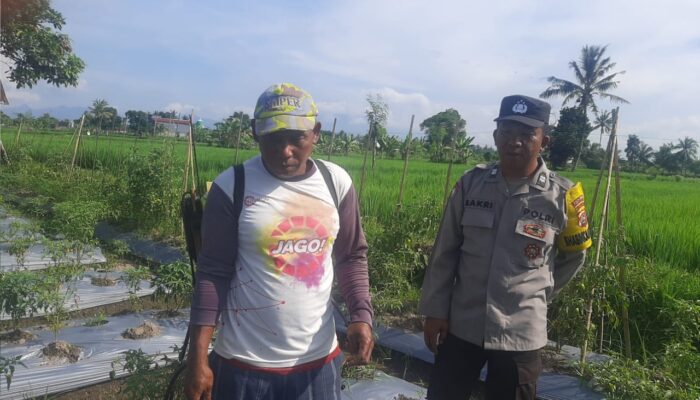 Polri Kawal Ketahanan Pangan hingga Pelosok: Aksi Nyata di Montong Are, Lombok Barat