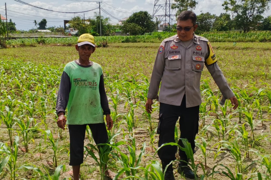 Bhabinkamtibmas Telagawaru Dorong Ketahanan Pangan Warga Paok Kambut