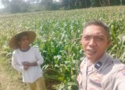 Ketahanan Pangan Berbasis Rumah Mulai Diterapkan di Karang Rumak