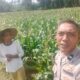 Dukungan Polri di Eyat Mayang, Petani Jagung Tak Sendiri