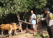 Pekarangan Produktif, Solusi Pangan di Batulayar Barat