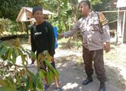 Ketahanan Pangan Desa Merembu Didorong Lewat Jalan Usaha Tani Baru