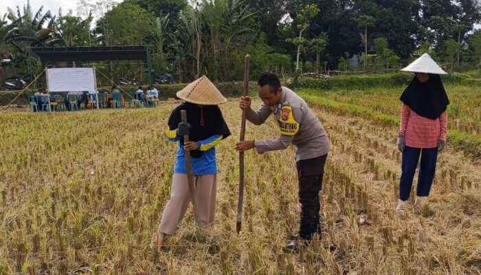 Polsek Kuripan Ajak Petani Manfaatkan Pupuk Bersubsidi Secara Tepat