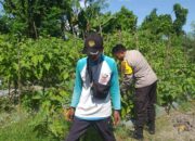 Polres Lombok Barat Gencarkan Program Pangan di Jagaraga