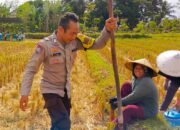 Ketahanan Pangan Dimulai dari Desa: Inisiatif Bhabinkamtibmas Kuripan Disambut Warga