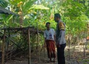 Pemanfaatan Pekarangan Jadi Kunci Kemandirian Pangan Warga Babussalam