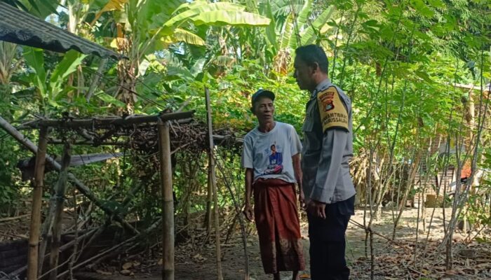 Pemanfaatan Pekarangan Jadi Kunci Kemandirian Pangan Warga Babussalam
