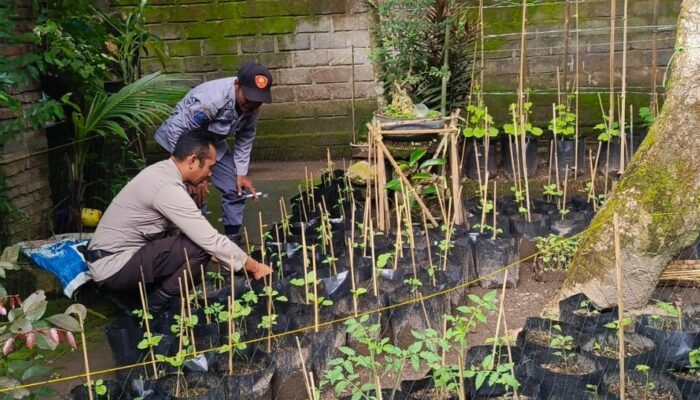 Antisipasi 3C, Polisi Gencarkan Patroli Malam di Lombok Barat