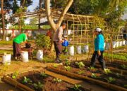 Bhabinkamtibmas Sosialisasikan Pemanfaatan Pekarangan untuk Ketahanan Pangan di Kuripan