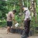 Polsek Batulayar Dorong Kemandirian Pangan Lewat Program Pekarangan di Dusun Orong