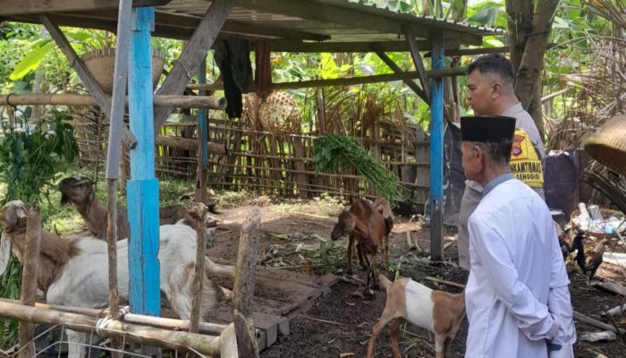 Dari Senggigi untuk NTB: Gerakan Polsek Batulayar Menanam dan Mandiri Pangan