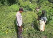 Peran Aktif Polri dalam Ketahanan Pangan: Inspirasi dari Desa Montong Are