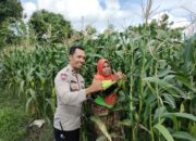 Polri dan Masyarakat Desa Labuapi Kolaborasi Jaga Kamtibmas dan Produktivitas Pangan