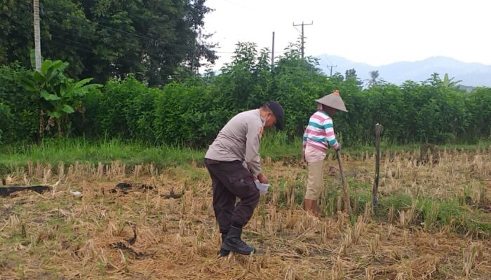 Bhabinkamtibmas Desa Jagaraga Edukasi Warga Soal Pangan Mandiri
