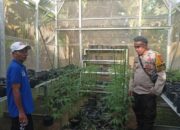 Swasembada Pangan Dimulai dari Pekarangan Rumah Warga Sandik