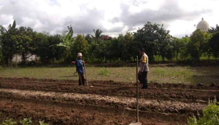 Dukung Pangan Nasional, Polisi Aktif Dampingi Petani Kediri