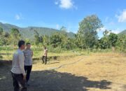 Dukung Ketahanan Pangan, Wakapolres Bima Cek Persiapan Lahan/ Lokasi Penanaman Jagung Kuartal 3