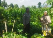 Ketahanan Pangan Berbasis Desa: Polri Gandeng Petani Kediri Lombok Barat