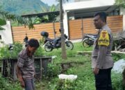 Pemanfaatan Lahan Kosong di Dusun Krandangan Jadi Contoh Ketahanan Pangan Lokal