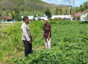 Dukung Pekarangan Pangan Bergizi, Polsek Sekotong Aktif Dampingi Warga Tembowong