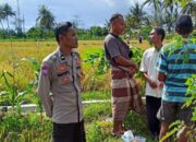 Diversifikasi Pertanian Digalakkan Bhabinkamtibmas Rumak untuk Ketahanan Pangan