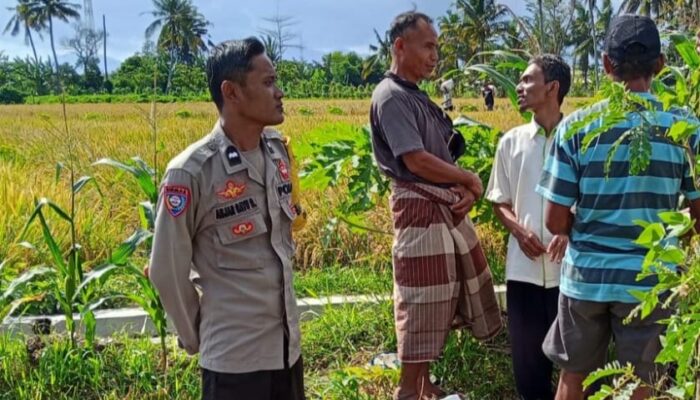 Diversifikasi Pertanian Digalakkan Bhabinkamtibmas Rumak untuk Ketahanan Pangan