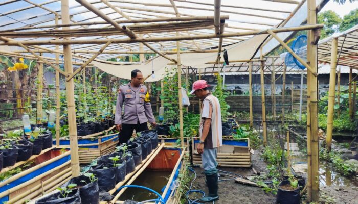 Polsek Labuapi Dukung Penuh Gerakan Tanam Sayur Warga Desa Bajur