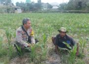 Kolaborasi Polri dan Masyarakat Desa Sandik Perkuat Program Pangan Nasional