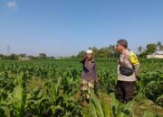 Aiptu Ragil Agus S Edukasi Warga Perempung tentang Pemanfaatan Pekarangan Rumah