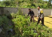 DDS Bhabinkamtibmas Sekotong: Pekarangan Rumah Jadi Kunci Ketahanan Pangan Keluarga