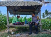 DDS Bhabinkamtibmas Eyat Mayang: Dorong Produktivitas Petani untuk Stabilitas Pangan