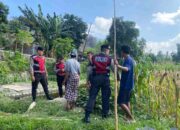 Sat Samapta Polres Lobar Pantau Tanam Jagung di Kebon Ayu