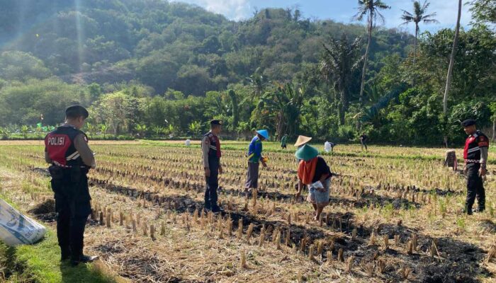 Dukung Ketahanan Pangan, Sat Samapta Sambangi Petani Kebon Ayu