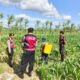 Polres Lombok Barat Dukung Petani Jagung di Desa Dasan Geres